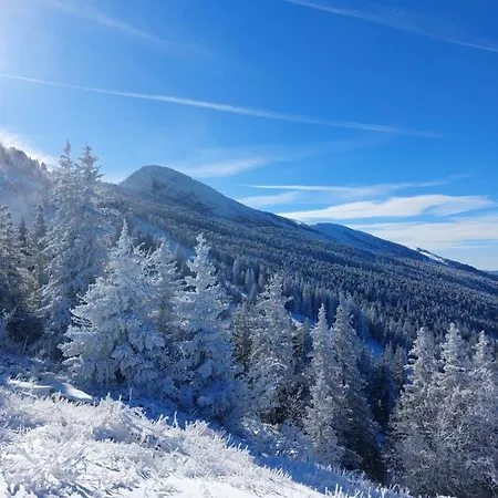 Aux Pieds Des Pistes - Le Balcon De *