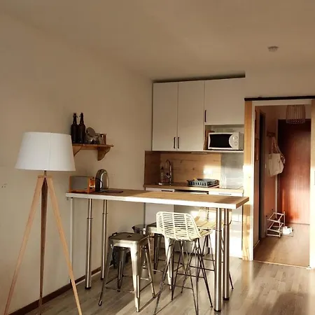 Aux Pieds Des Pistes - Le Balcon De Appartamento