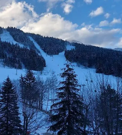 Aux Pieds Des Pistes - Le Balcon De شقة فيلارد دي لانس