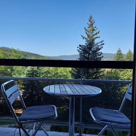 Aux Pieds Des Pistes - Le Balcon De *