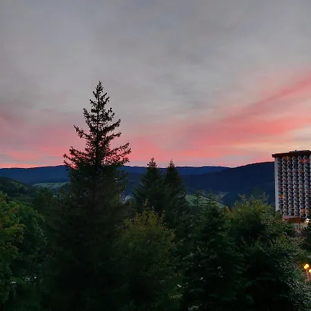 Aux Pieds Des Pistes - Le Balcon De *